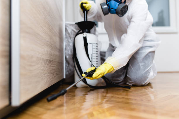 Best Pest Inspection Near Me  in Gloversville, NY