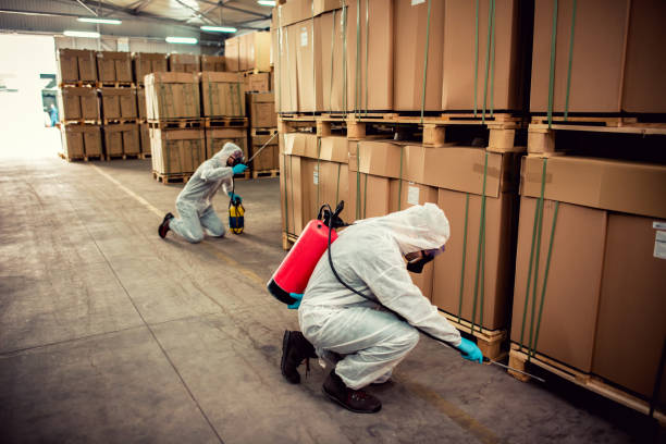 Best Rat Extermination Near Me  in Gloversville, NY