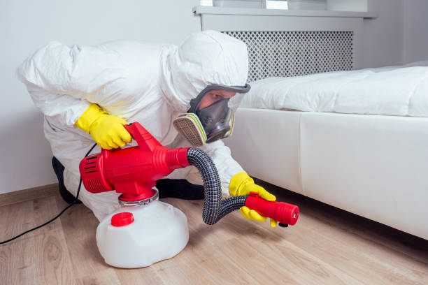 Best Affordable Pest Control Services  in Gloversville, NY