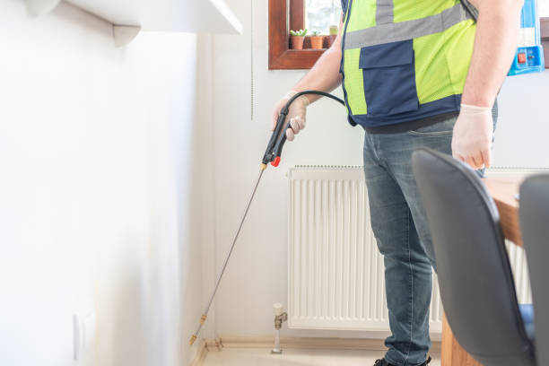 Best Ant Control Services  in Gloversville, NY