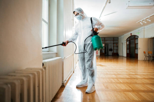 Best Flea Control Services  in Gloversville, NY