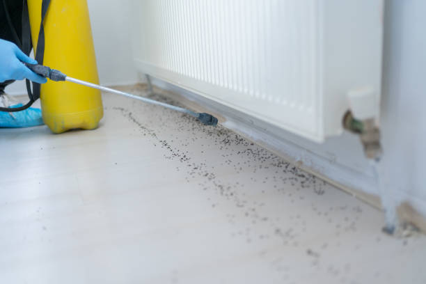 Pest Control for Restaurants in Gloversville, NY